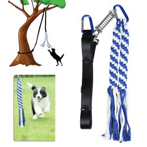 Strong Spring Pole Dog Rope Toy
