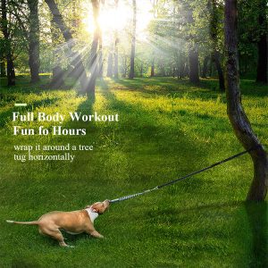 Strong Spring Pole Dog Rope Toy