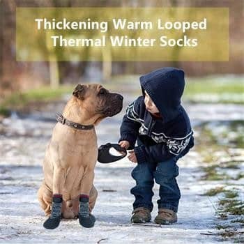 Anti-Slip Rubber-Dipped Dog Socks