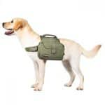 Dog Backpack Saddle Bag