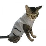 Cat Recovery Suit for Abdominal Wounds or Skin Diseases
