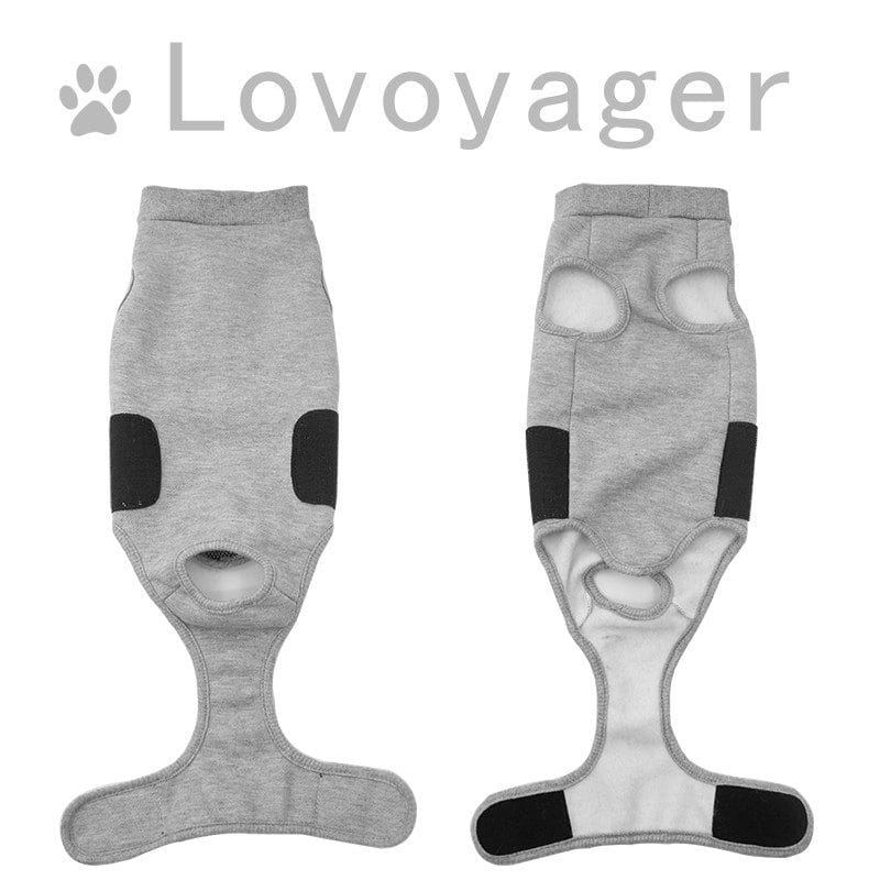 Cat Recovery Suit For Abdominal Wounds Or Skin Diseases Pet Harness