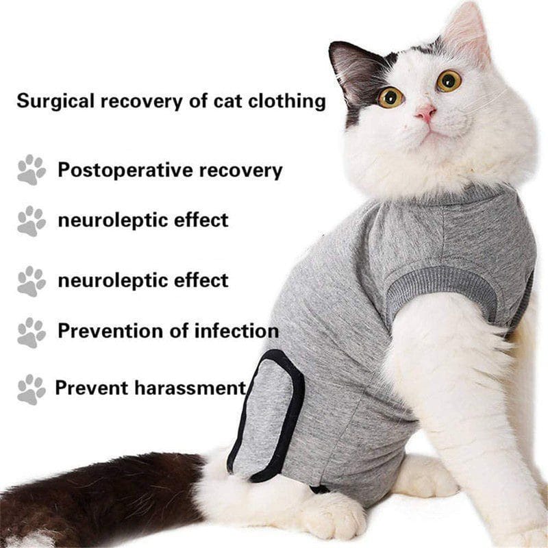 Cat Recovery Suit For Abdominal Wounds Or Skin Diseases Pet Harness,Pet Boots,Pet Carriers