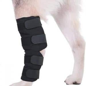 Dog Canine Leg Brace Wrap