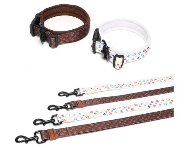 Leather Dog Collar with Leash