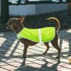 Dog Reflective Safety Vest
