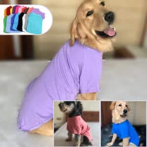 dog apparel