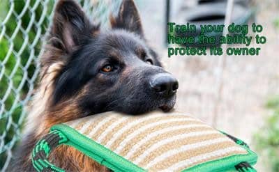 Dog Training Bite Pillow