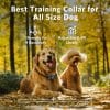 Dog Training Collar Rainproof Vibration Collar