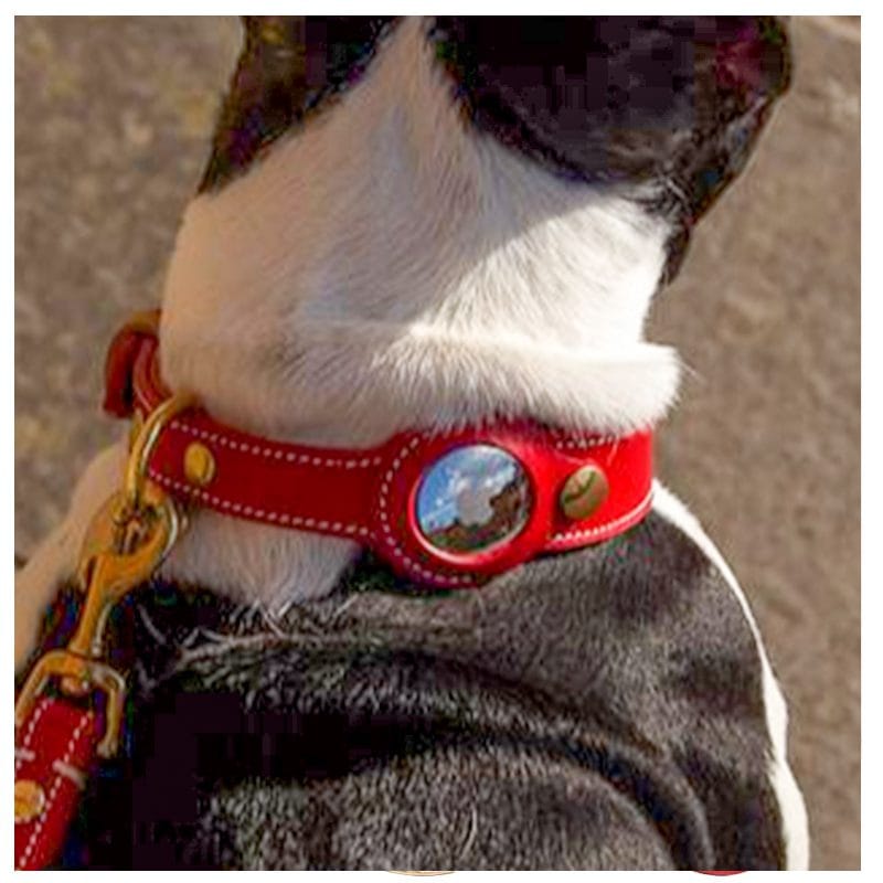 Airtag Dog Collar Holder And Leash Set Leather Strong Airtag Dog Collar