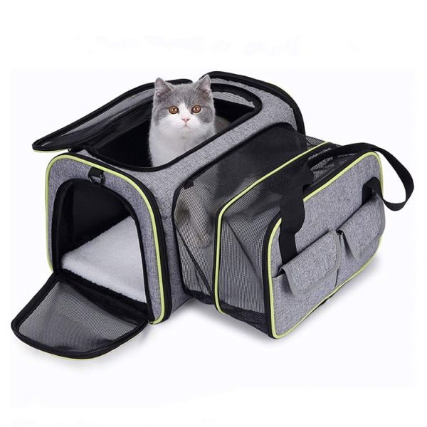 pet carrier airline approved