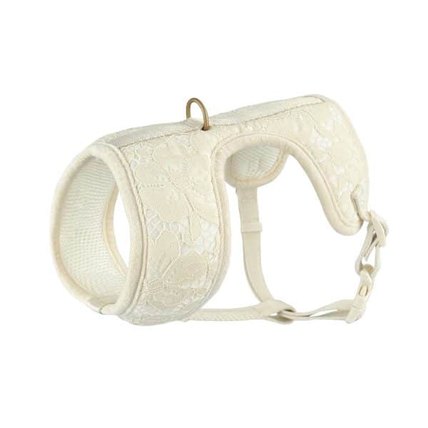 dog harness with leash