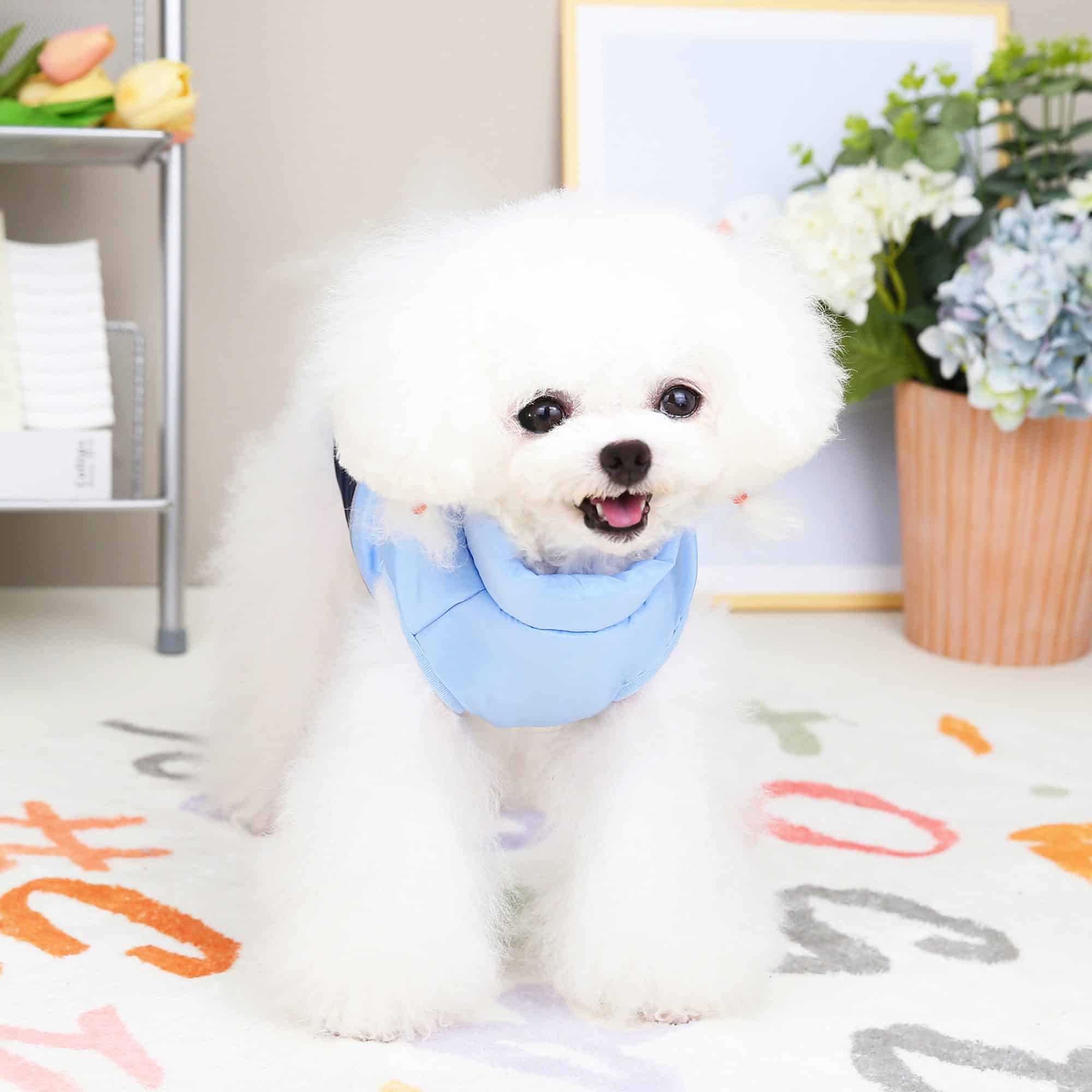 Puppy Dog Clothes 2022 Designer Luxury Autumn And Winter Dog Coat