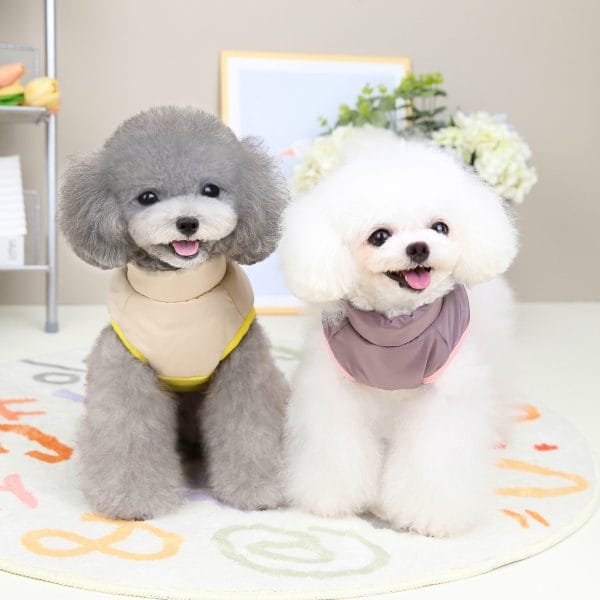 Puppy Dog Clothes 2022 Designer Luxury Autumn And Winter Dog Coat