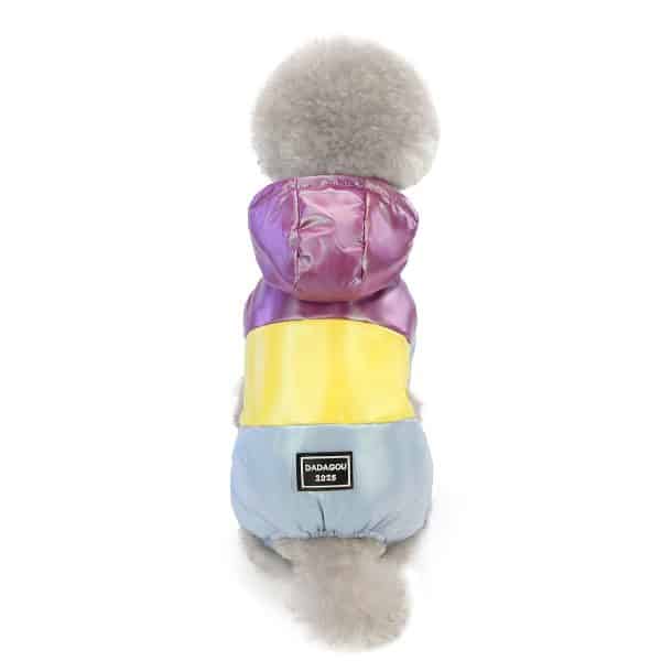 Small Dog Clothes Designer Fourlegged Warm Winter Luxury Colorful