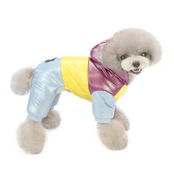 Small Dog Clothes Designer Fourlegged Warm Winter Luxury Colorful