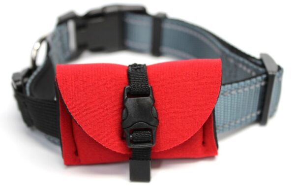 pouch with dog collar