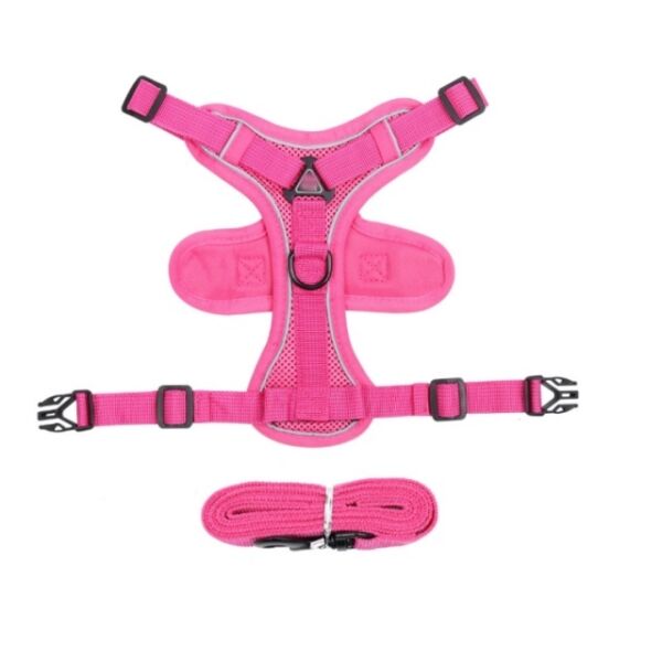 dog harness with leash