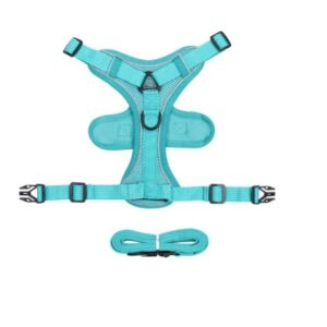 Dog Harness With Leash